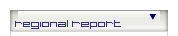 region report